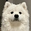 moon_light_5